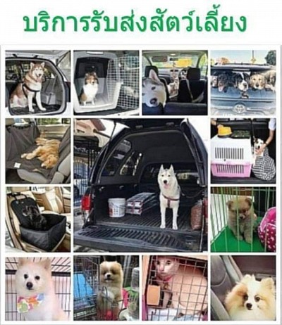 แท็กซี่โคราช บริการ 24 ชั่วโมงทั่วไทย โคราช - กรุงเทพฯ 2,500 บาท โคราช- สนามบินสุวรรณภูมิ 2,500 บาท โคราช- สนามบินดอนเมือง 2,500 บาท โคราช - พัทยา 3,000 บาท โคราช- ต่างจังหวัด พร้อมทำทัวร์ทั่วไทย ในราคาถูกพิเศษ โทรสอบถามราคา 0883557066